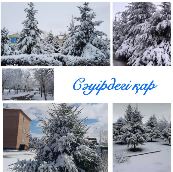 Сәуірде жауған қардың фотосуреті