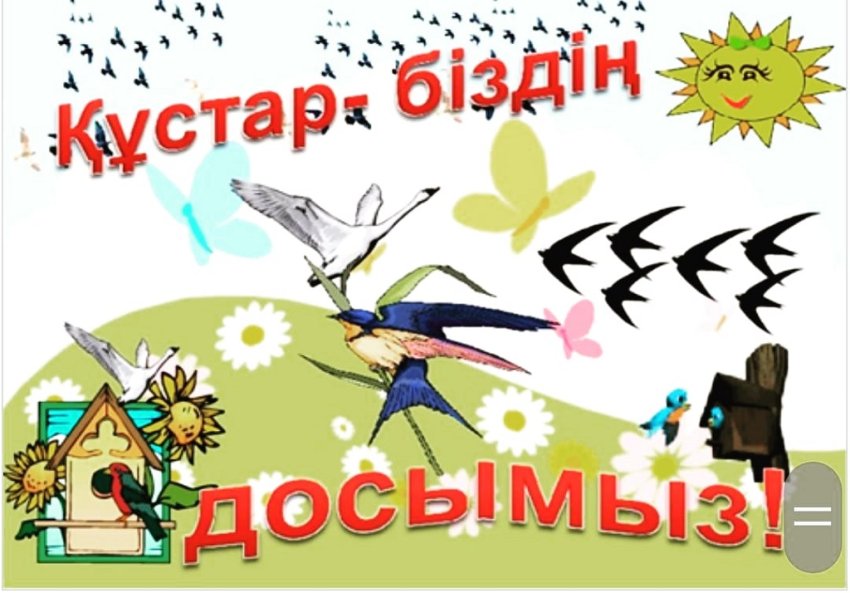 "Құстар-біздің досымыз" шығармашылық көрме