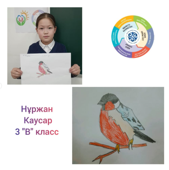 3 "В" сынып оқушылары қыс мезгілінде қыстап қалатын жыл құстарының суретін салды.